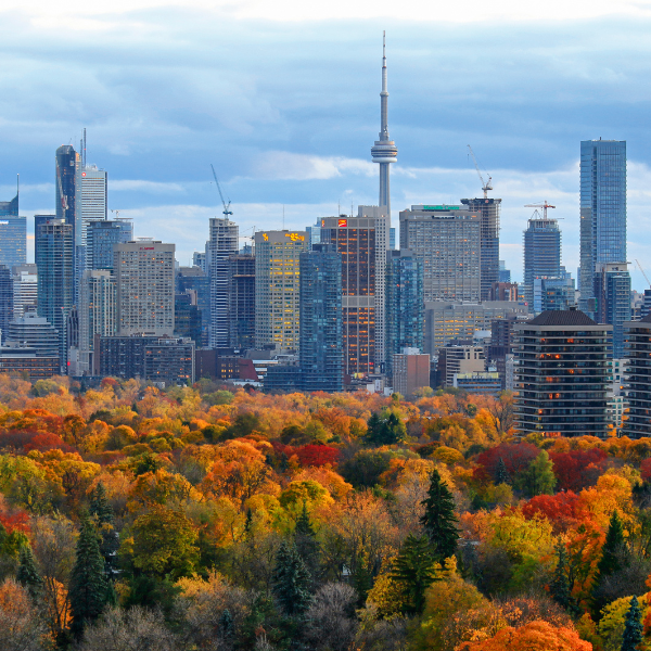 Photo of the Toronto skyline in the Fall